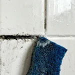 Crni plak na šavovima pločica otkriva skriveni problem u kupaonici i može se lako ukloniti jednostavnim lijekom crni-plak-na-savovima-plocica-otkriva-skriveni-problem-u-kupaonici.webp.webp